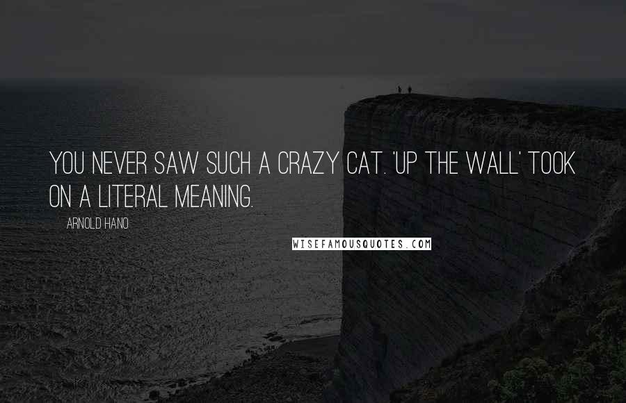 Arnold Hano Quotes: You never saw such a crazy cat. 'Up the wall' took on a literal meaning.