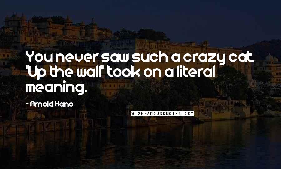 Arnold Hano Quotes: You never saw such a crazy cat. 'Up the wall' took on a literal meaning.