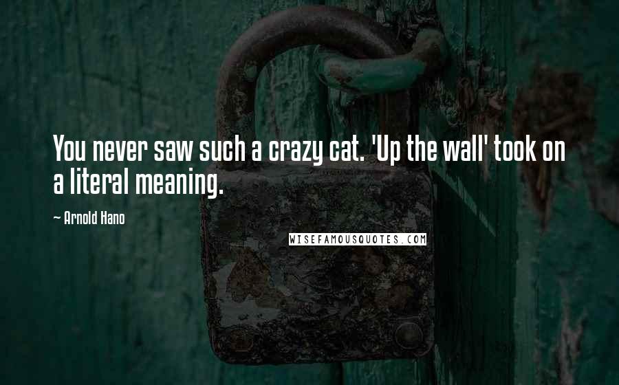 Arnold Hano Quotes: You never saw such a crazy cat. 'Up the wall' took on a literal meaning.