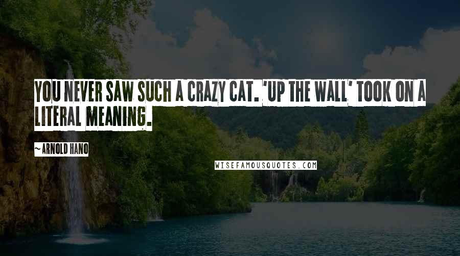 Arnold Hano Quotes: You never saw such a crazy cat. 'Up the wall' took on a literal meaning.