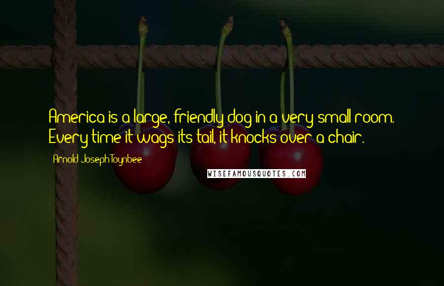 Arnold Joseph Toynbee Quotes: America is a large, friendly dog in a very small room. Every time it wags its tail, it knocks over a chair.