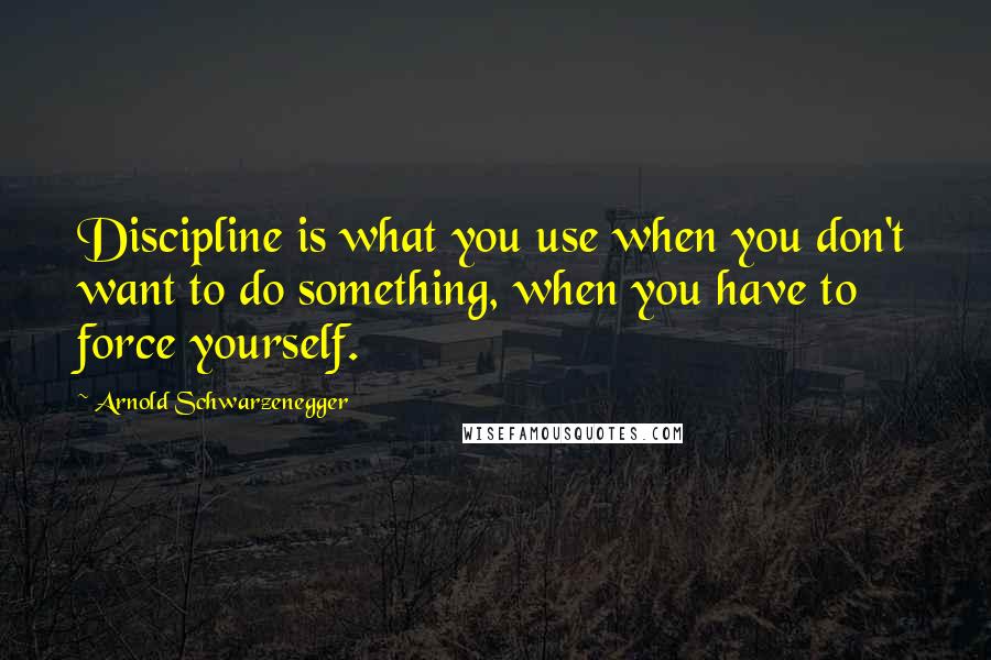 Arnold Schwarzenegger Quotes: Discipline is what you use when you don't want to do something, when you have to force yourself.