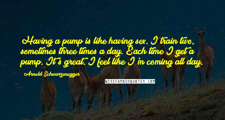 Arnold Schwarzenegger Quotes: Having a pump is like having sex. I train two, sometimes three times a day. Each time I get a pump. It's great. I feel like I'm coming all day.