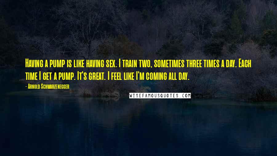 Arnold Schwarzenegger Quotes: Having a pump is like having sex. I train two, sometimes three times a day. Each time I get a pump. It's great. I feel like I'm coming all day.