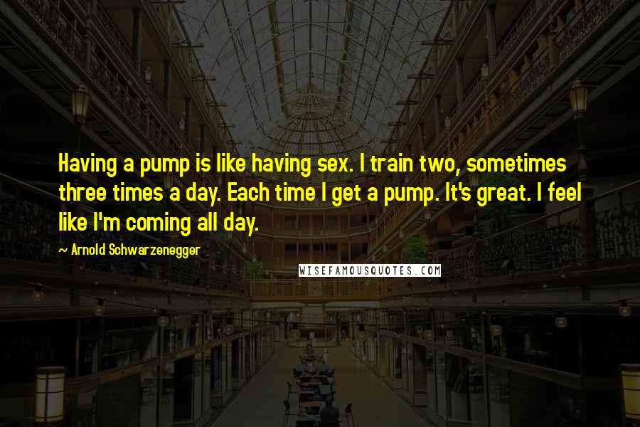 Arnold Schwarzenegger Quotes: Having a pump is like having sex. I train two, sometimes three times a day. Each time I get a pump. It's great. I feel like I'm coming all day.