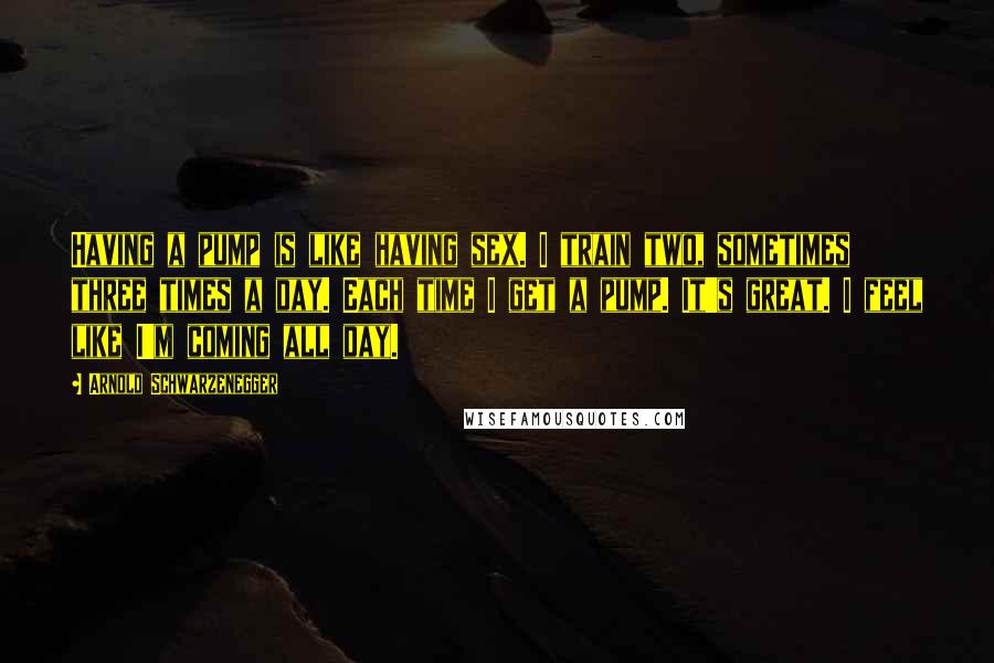 Arnold Schwarzenegger Quotes: Having a pump is like having sex. I train two, sometimes three times a day. Each time I get a pump. It's great. I feel like I'm coming all day.