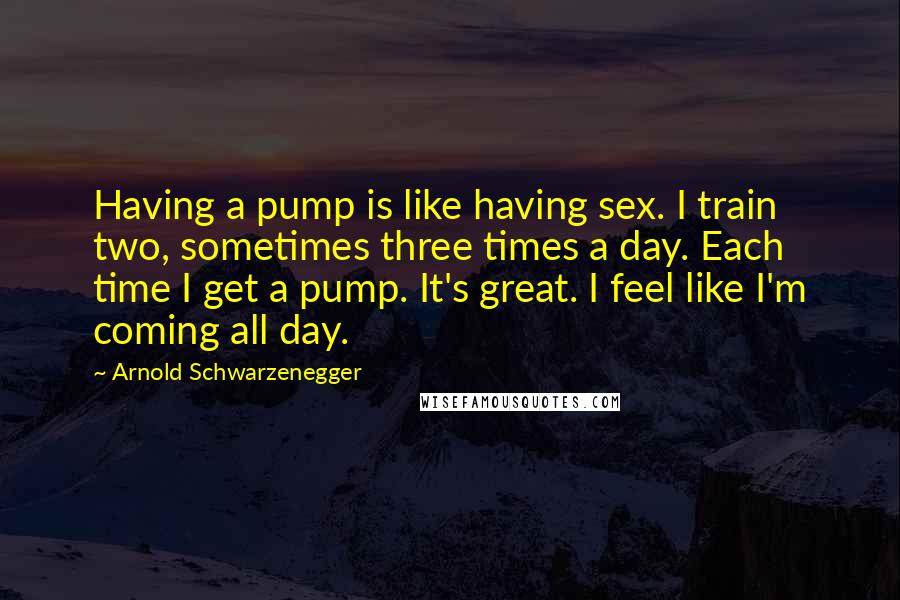 Arnold Schwarzenegger Quotes: Having a pump is like having sex. I train two, sometimes three times a day. Each time I get a pump. It's great. I feel like I'm coming all day.