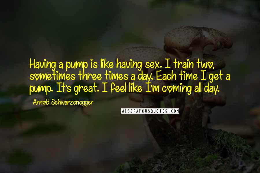 Arnold Schwarzenegger Quotes: Having a pump is like having sex. I train two, sometimes three times a day. Each time I get a pump. It's great. I feel like I'm coming all day.