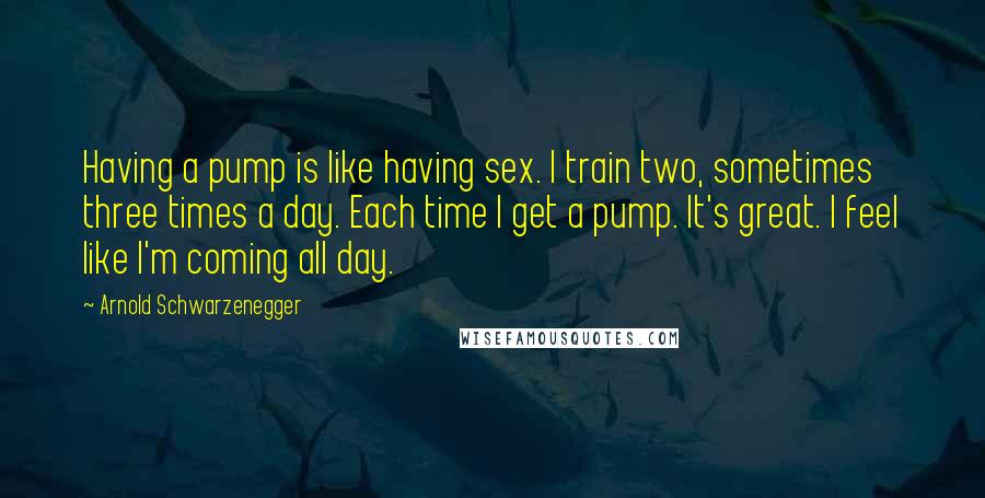 Arnold Schwarzenegger Quotes: Having a pump is like having sex. I train two, sometimes three times a day. Each time I get a pump. It's great. I feel like I'm coming all day.