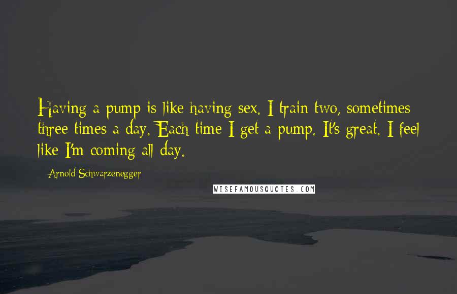 Arnold Schwarzenegger Quotes: Having a pump is like having sex. I train two, sometimes three times a day. Each time I get a pump. It's great. I feel like I'm coming all day.