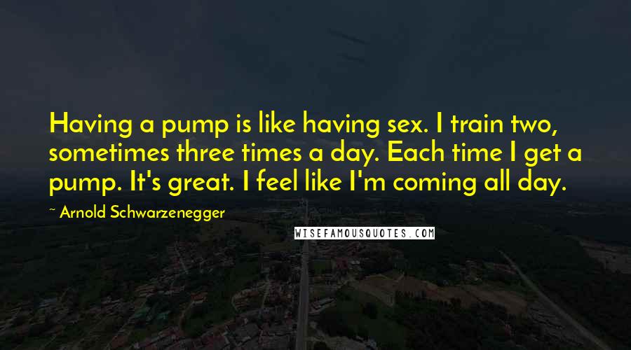 Arnold Schwarzenegger Quotes: Having a pump is like having sex. I train two, sometimes three times a day. Each time I get a pump. It's great. I feel like I'm coming all day.