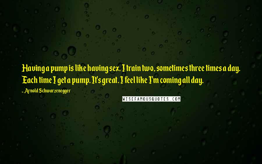 Arnold Schwarzenegger Quotes: Having a pump is like having sex. I train two, sometimes three times a day. Each time I get a pump. It's great. I feel like I'm coming all day.
