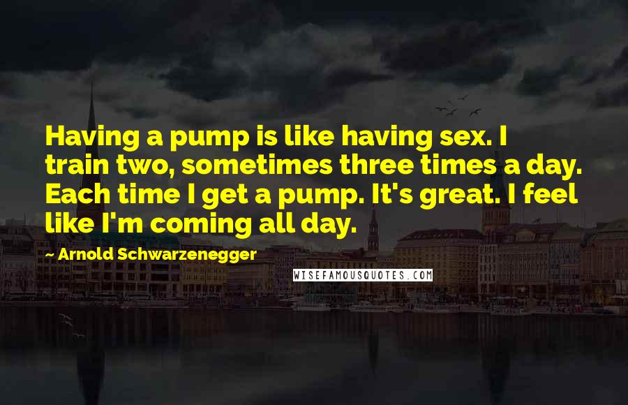 Arnold Schwarzenegger Quotes: Having a pump is like having sex. I train two, sometimes three times a day. Each time I get a pump. It's great. I feel like I'm coming all day.