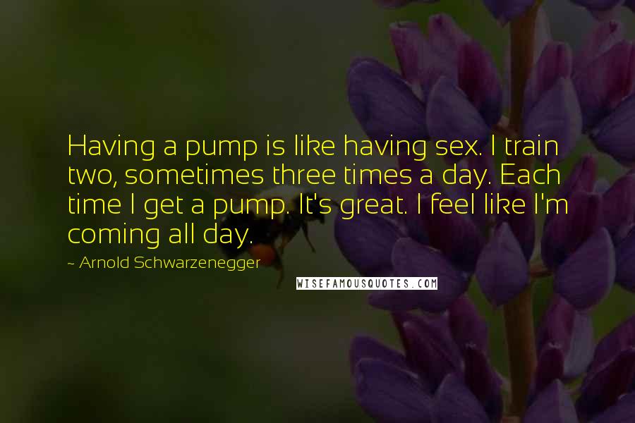 Arnold Schwarzenegger Quotes: Having a pump is like having sex. I train two, sometimes three times a day. Each time I get a pump. It's great. I feel like I'm coming all day.