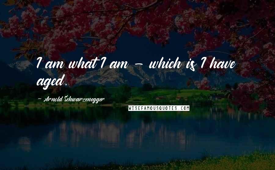 Arnold Schwarzenegger Quotes: I am what I am - which is I have aged.