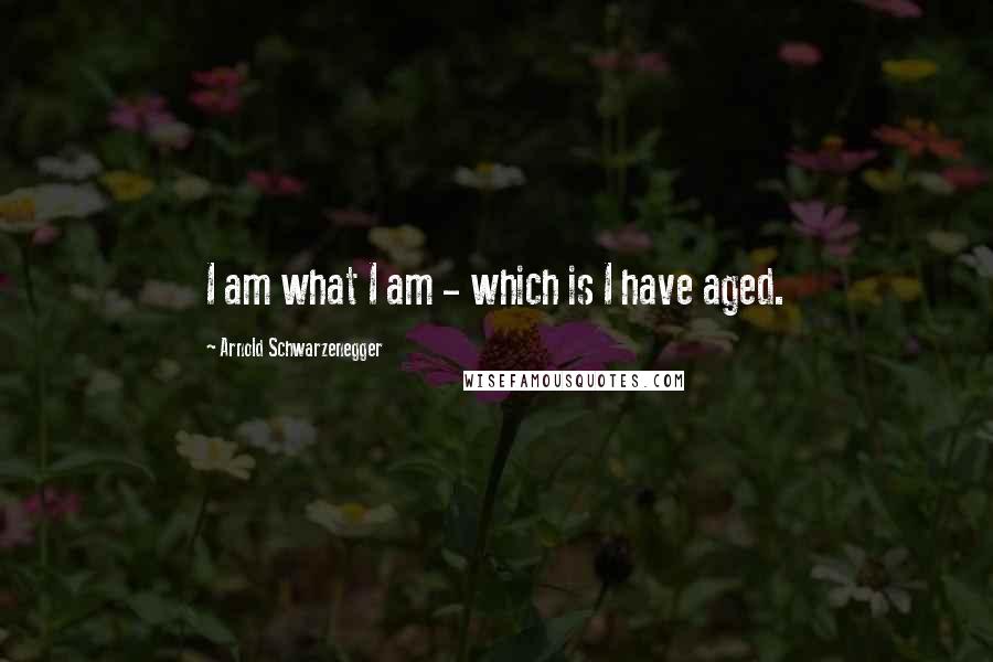 Arnold Schwarzenegger Quotes: I am what I am - which is I have aged.