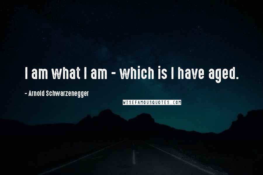 Arnold Schwarzenegger Quotes: I am what I am - which is I have aged.