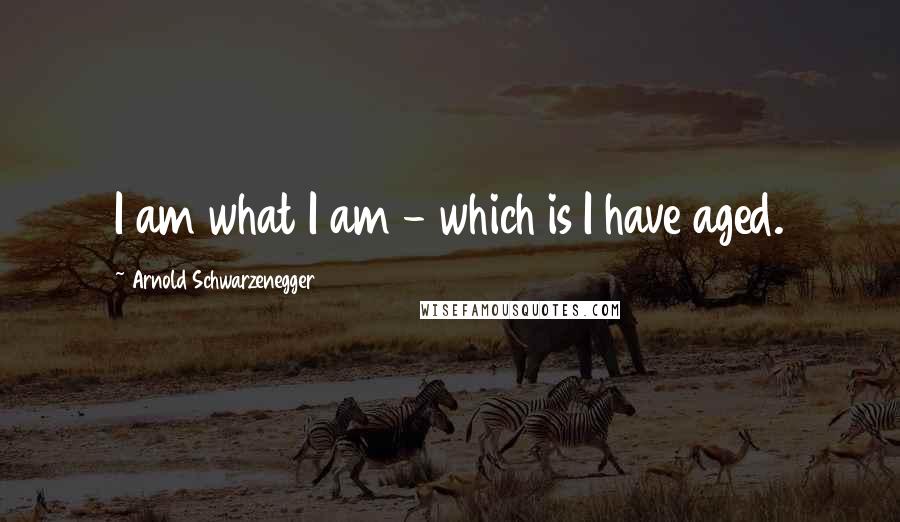 Arnold Schwarzenegger Quotes: I am what I am - which is I have aged.