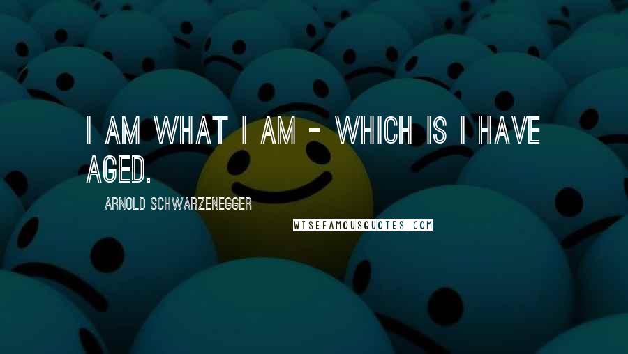 Arnold Schwarzenegger Quotes: I am what I am - which is I have aged.