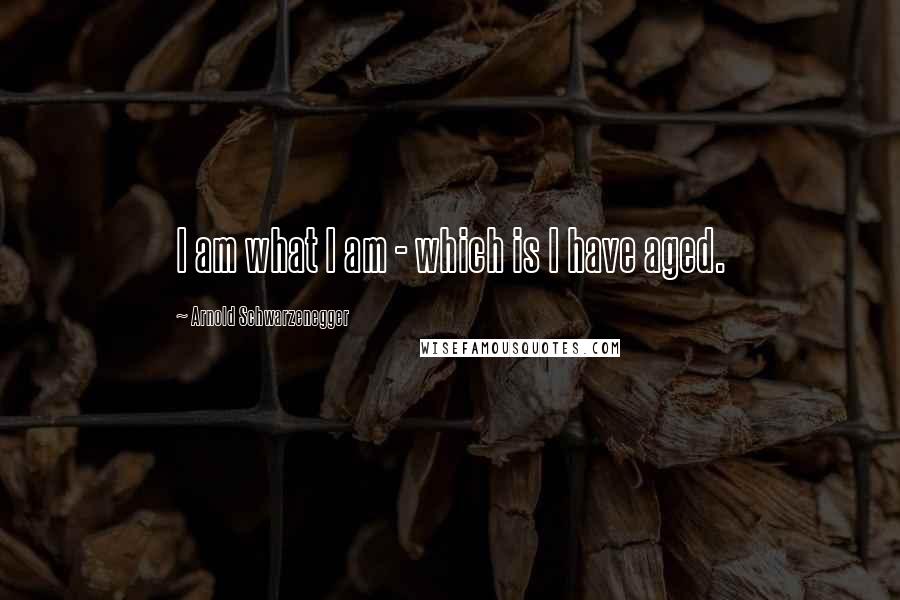 Arnold Schwarzenegger Quotes: I am what I am - which is I have aged.