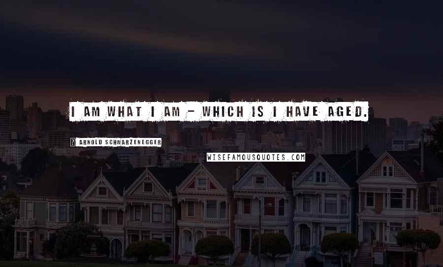 Arnold Schwarzenegger Quotes: I am what I am - which is I have aged.