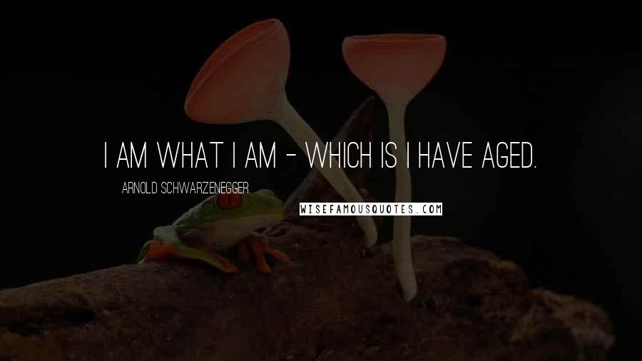Arnold Schwarzenegger Quotes: I am what I am - which is I have aged.
