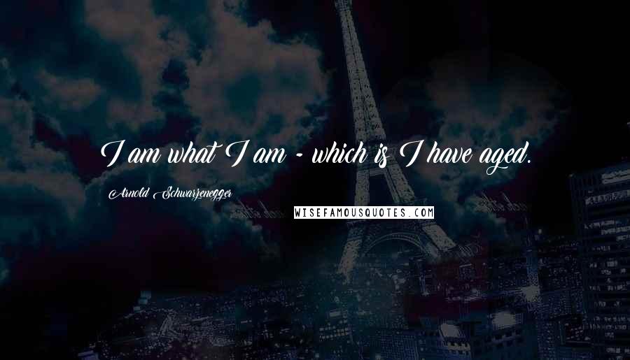 Arnold Schwarzenegger Quotes: I am what I am - which is I have aged.