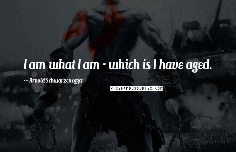 Arnold Schwarzenegger Quotes: I am what I am - which is I have aged.