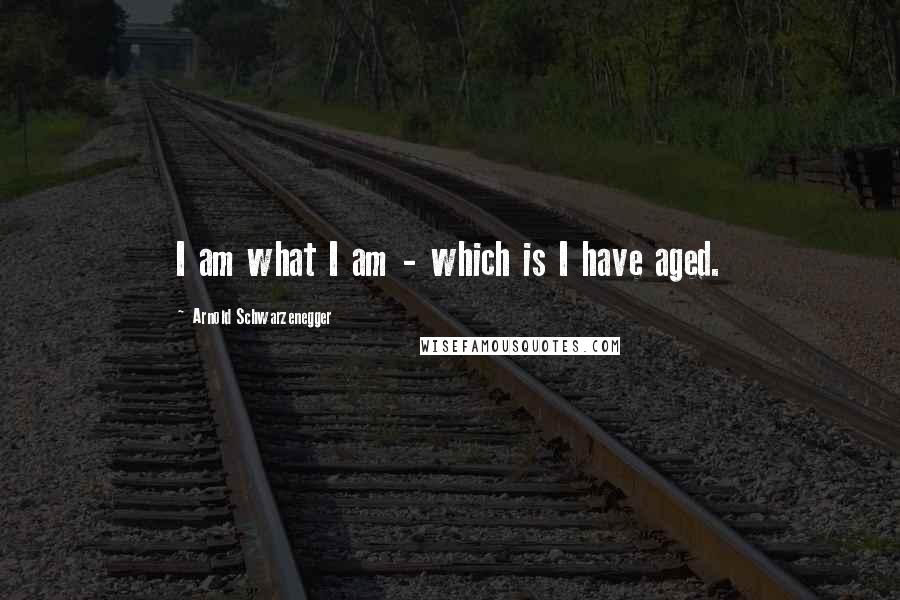Arnold Schwarzenegger Quotes: I am what I am - which is I have aged.