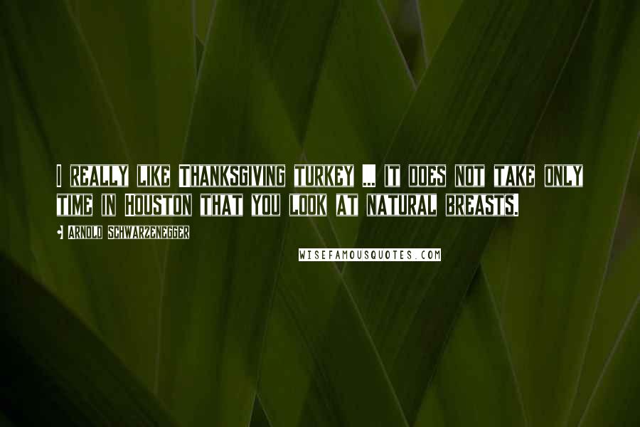 Arnold Schwarzenegger Quotes: I really like Thanksgiving turkey ... it does not take only time in Houston that you look at natural breasts.