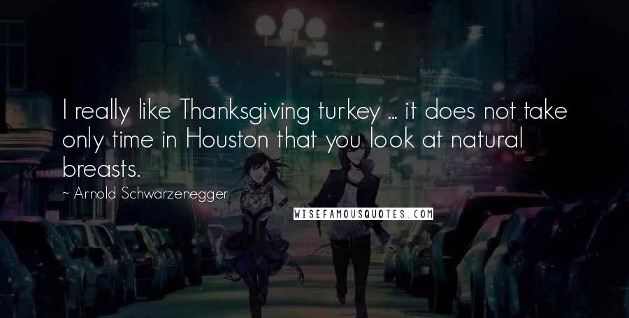Arnold Schwarzenegger Quotes: I really like Thanksgiving turkey ... it does not take only time in Houston that you look at natural breasts.