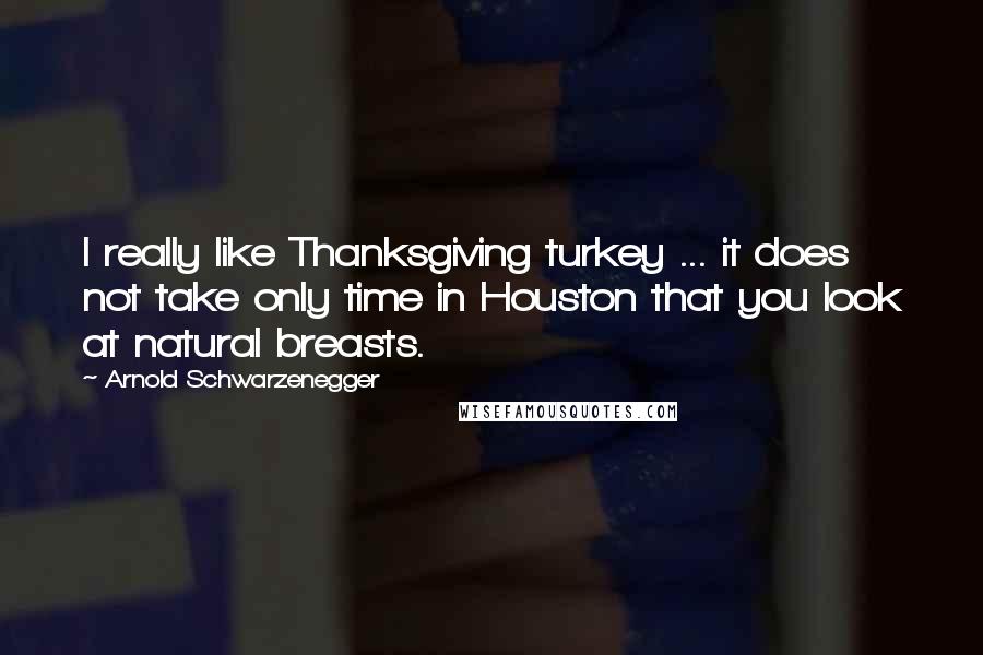 Arnold Schwarzenegger Quotes: I really like Thanksgiving turkey ... it does not take only time in Houston that you look at natural breasts.