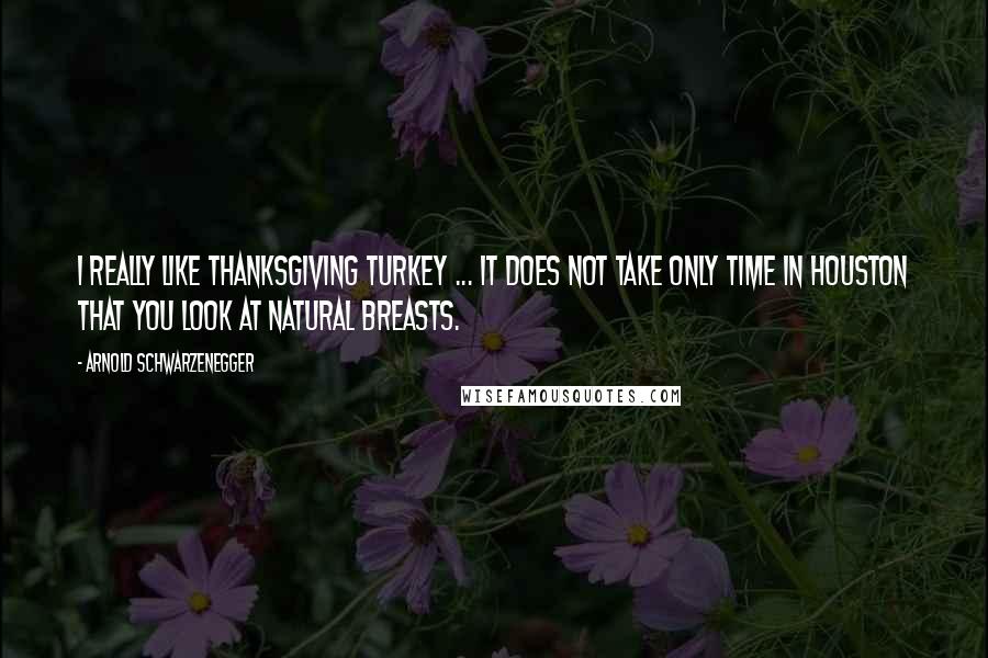 Arnold Schwarzenegger Quotes: I really like Thanksgiving turkey ... it does not take only time in Houston that you look at natural breasts.