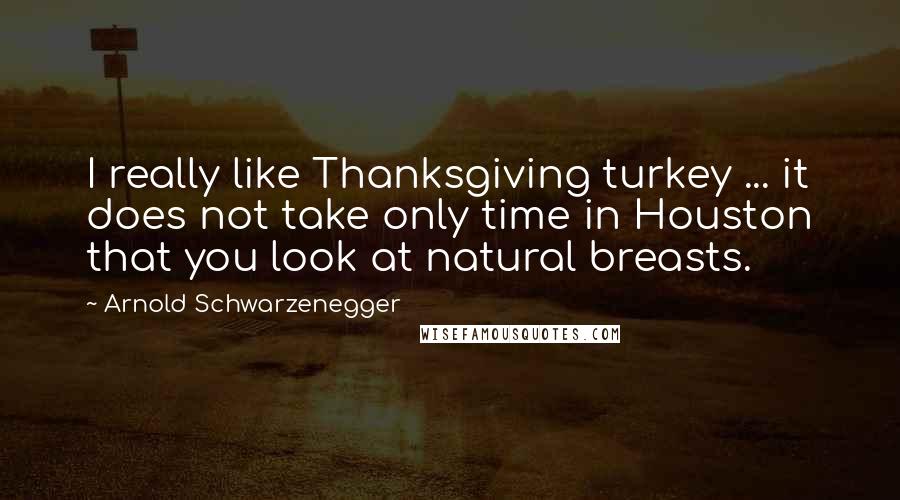 Arnold Schwarzenegger Quotes: I really like Thanksgiving turkey ... it does not take only time in Houston that you look at natural breasts.