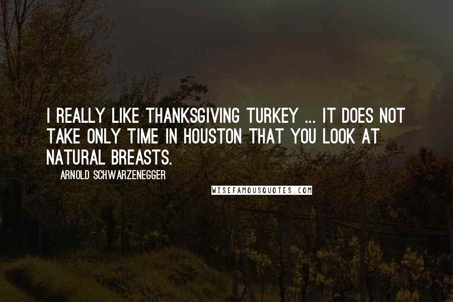 Arnold Schwarzenegger Quotes: I really like Thanksgiving turkey ... it does not take only time in Houston that you look at natural breasts.