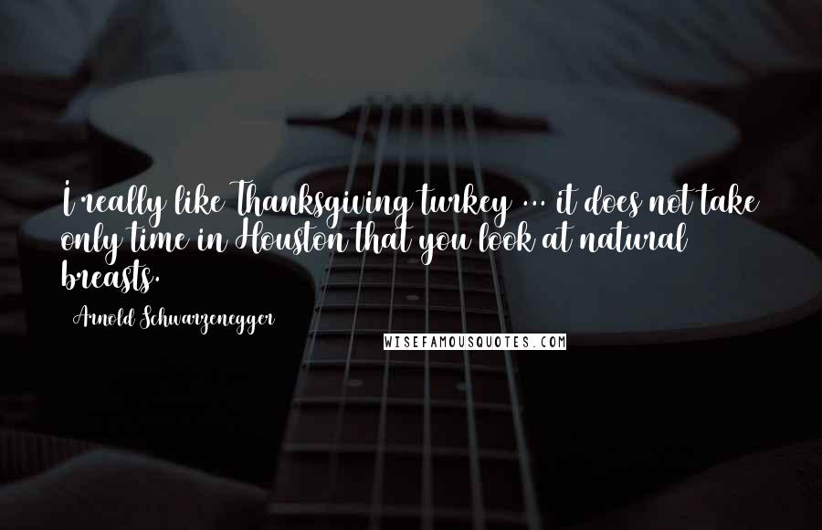 Arnold Schwarzenegger Quotes: I really like Thanksgiving turkey ... it does not take only time in Houston that you look at natural breasts.