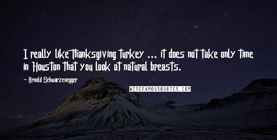 Arnold Schwarzenegger Quotes: I really like Thanksgiving turkey ... it does not take only time in Houston that you look at natural breasts.