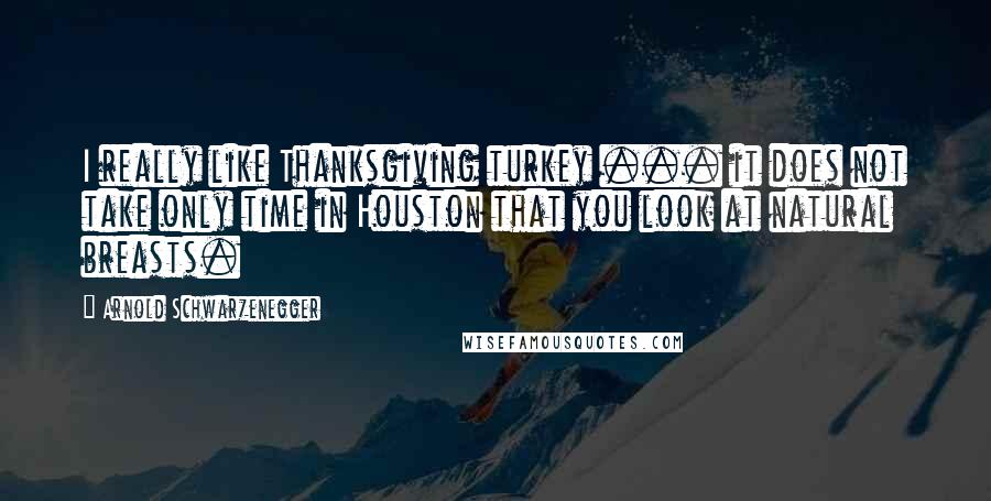 Arnold Schwarzenegger Quotes: I really like Thanksgiving turkey ... it does not take only time in Houston that you look at natural breasts.