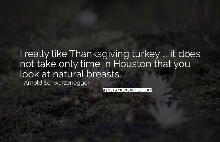 Arnold Schwarzenegger Quotes: I really like Thanksgiving turkey ... it does not take only time in Houston that you look at natural breasts.