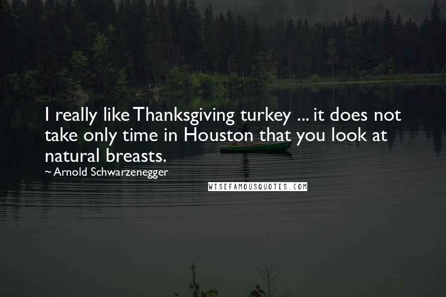 Arnold Schwarzenegger Quotes: I really like Thanksgiving turkey ... it does not take only time in Houston that you look at natural breasts.