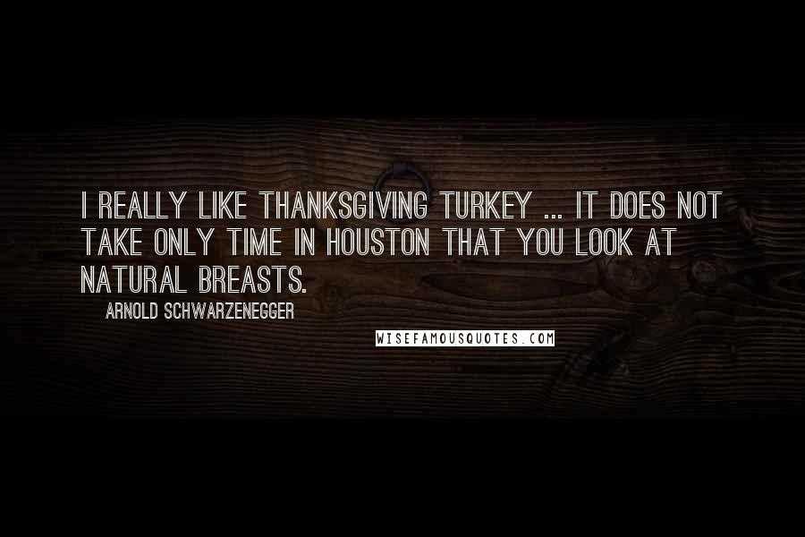 Arnold Schwarzenegger Quotes: I really like Thanksgiving turkey ... it does not take only time in Houston that you look at natural breasts.