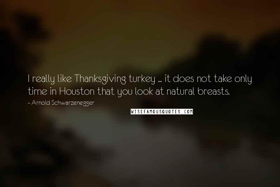 Arnold Schwarzenegger Quotes: I really like Thanksgiving turkey ... it does not take only time in Houston that you look at natural breasts.