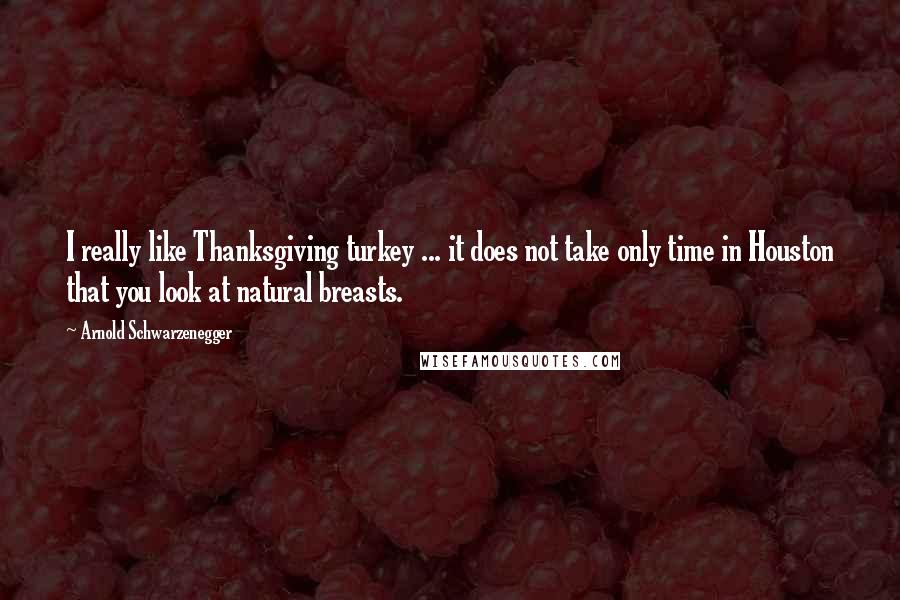 Arnold Schwarzenegger Quotes: I really like Thanksgiving turkey ... it does not take only time in Houston that you look at natural breasts.