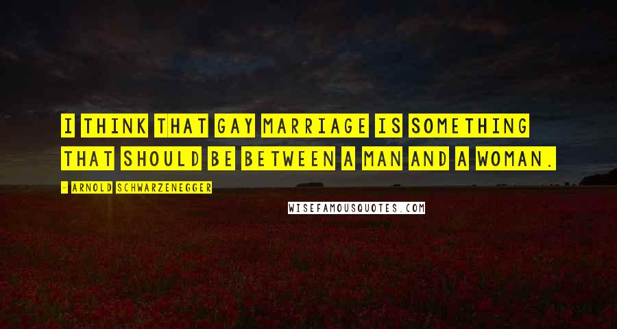 Arnold Schwarzenegger Quotes: I think that gay marriage is something that should be between a man and a woman.