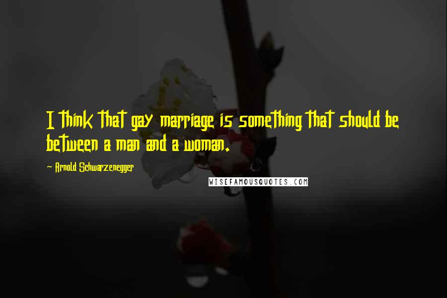 Arnold Schwarzenegger Quotes: I think that gay marriage is something that should be between a man and a woman.