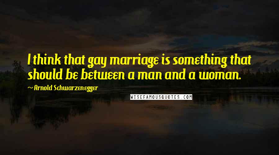 Arnold Schwarzenegger Quotes: I think that gay marriage is something that should be between a man and a woman.