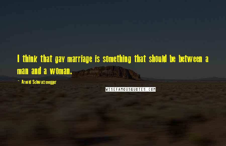 Arnold Schwarzenegger Quotes: I think that gay marriage is something that should be between a man and a woman.
