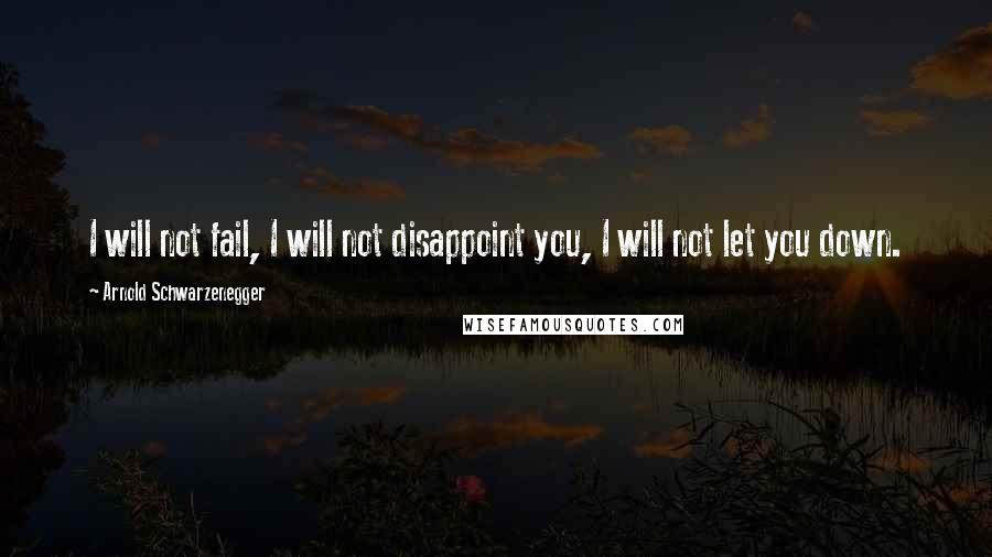 Arnold Schwarzenegger Quotes: I will not fail, I will not disappoint you, I will not let you down.