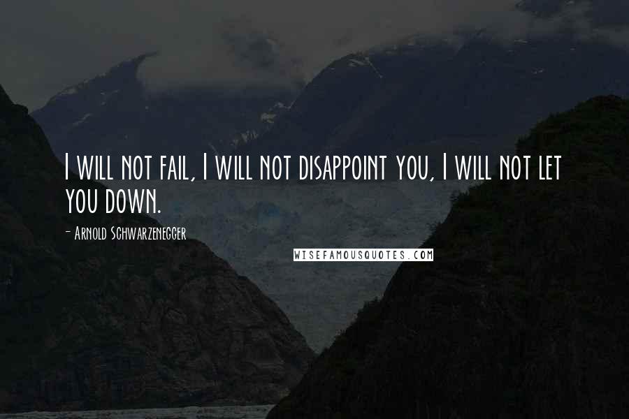 Arnold Schwarzenegger Quotes: I will not fail, I will not disappoint you, I will not let you down.