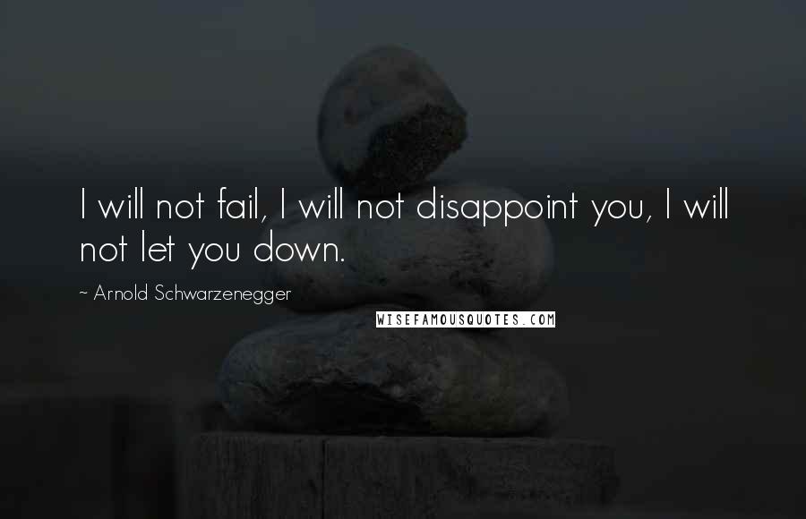 Arnold Schwarzenegger Quotes: I will not fail, I will not disappoint you, I will not let you down.